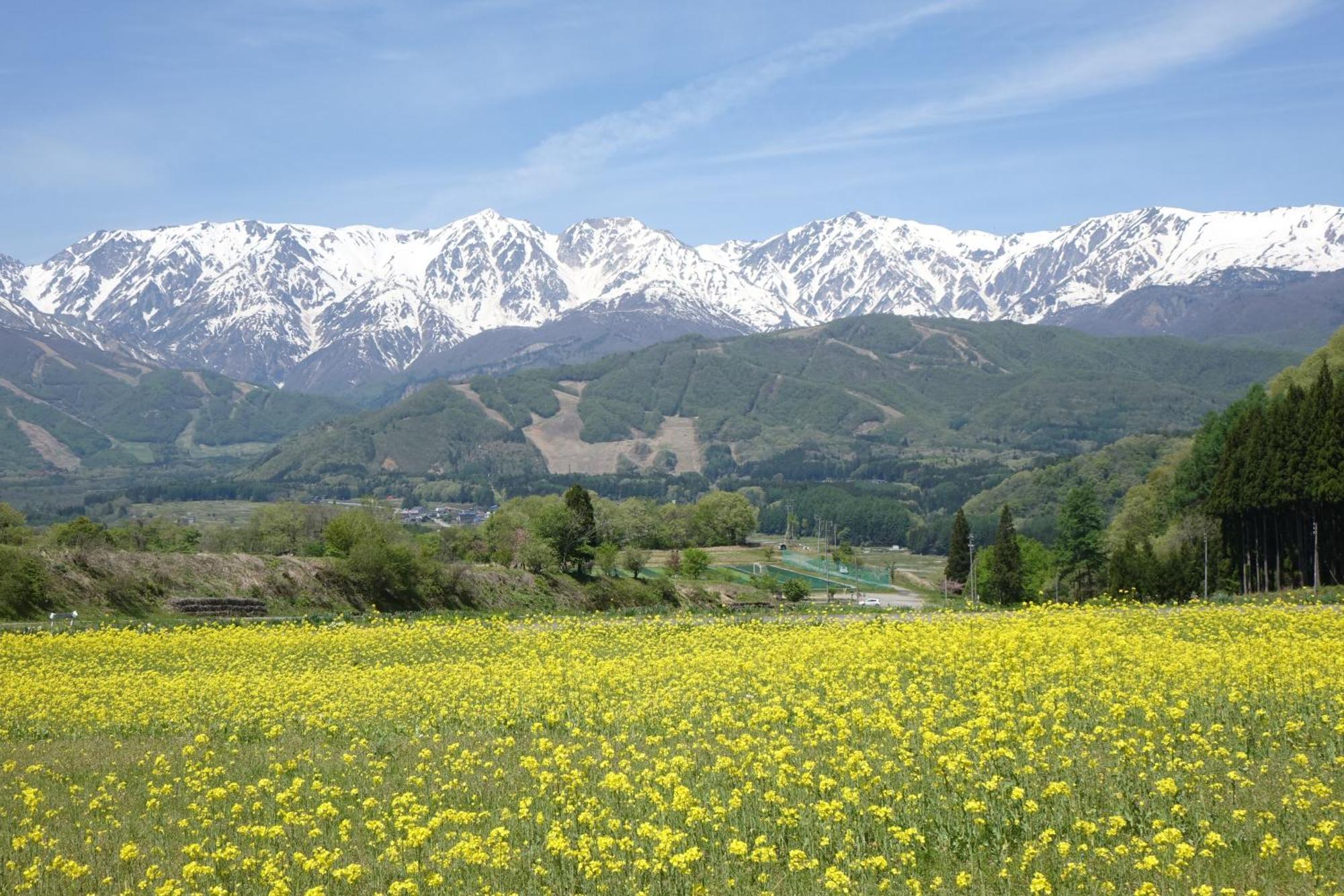 卡诗文瑞安乡村酒店旅馆 白马村 外观 照片
